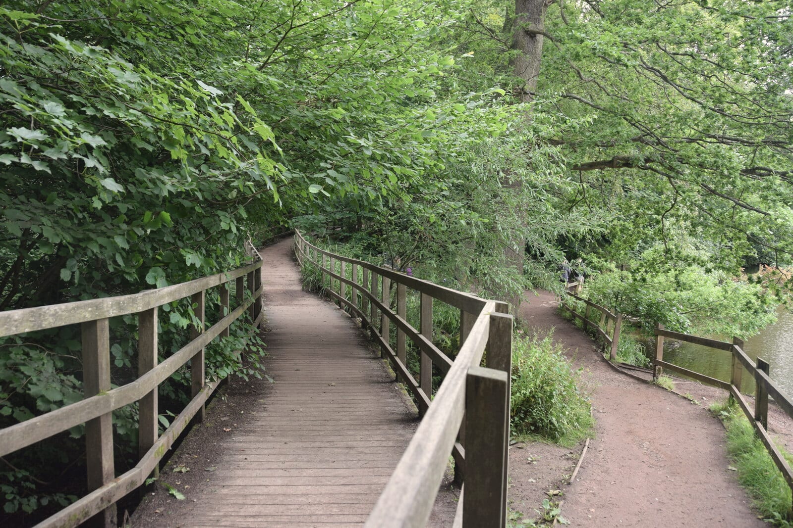 The boardwalk path beside the lake at Lymm Dam